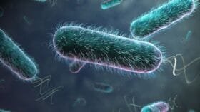 E. coli na piscina