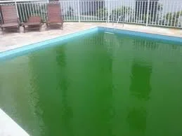 Piscina verde