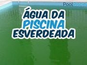 Água da piscina esverdeada