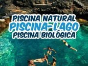 Piscina lago, Piscina natural ou piscina biológica