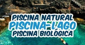 Piscina lago, Piscina natural ou piscina biológica