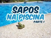 Sapos na piscina