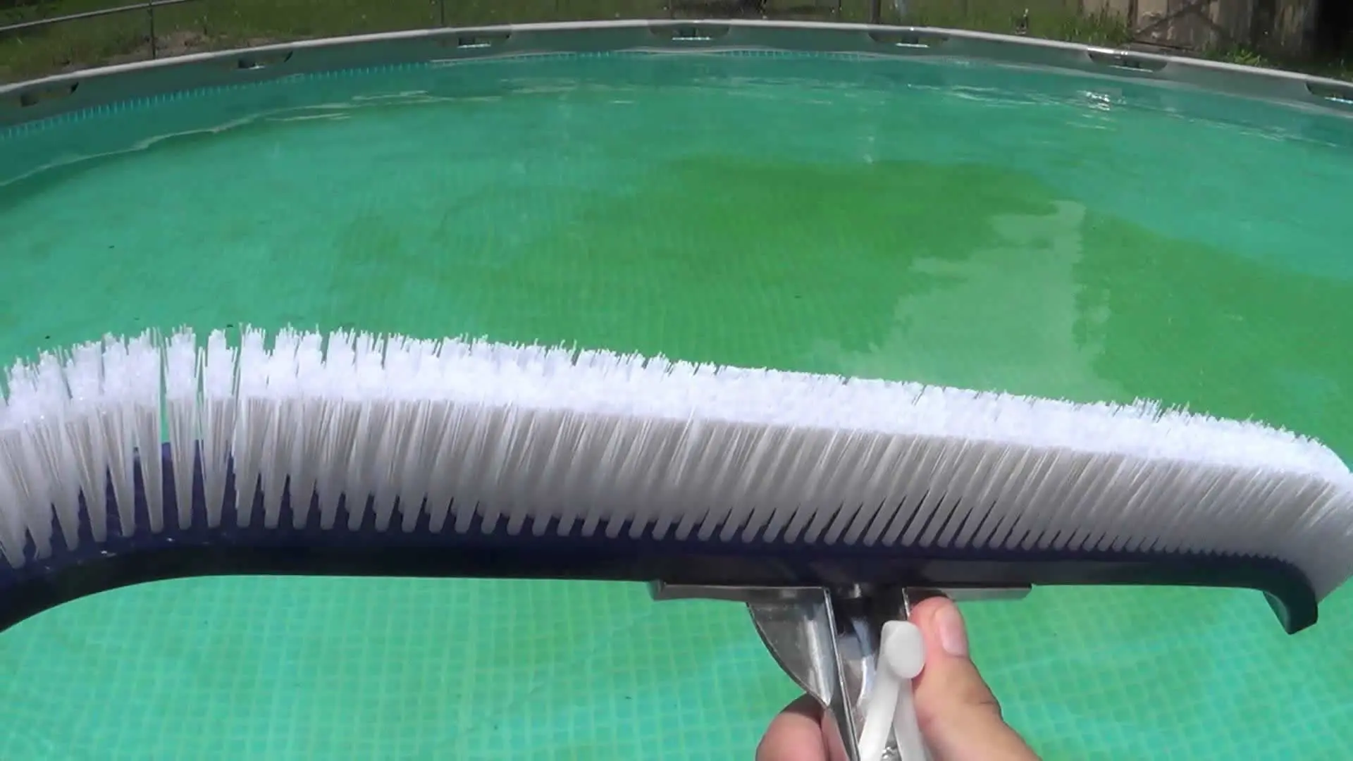 Como eliminar algas da piscina