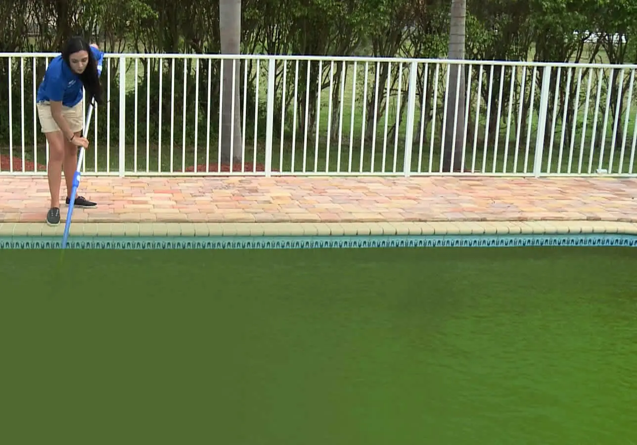 Como eliminar as algas da piscina
